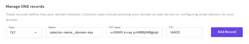 Screenshot showing DNS TXT record value