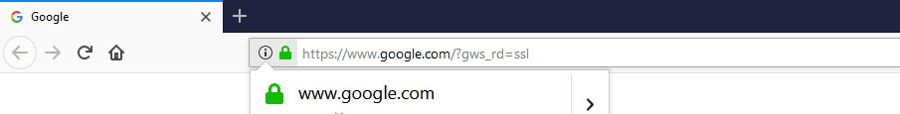 The green SSL padlock on Google Chrome