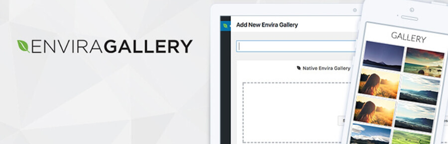 The Envira Gallery plugin.