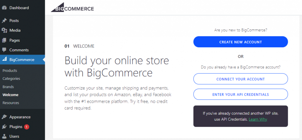 BigCommerce plugin dashboard, showing the initial setup page