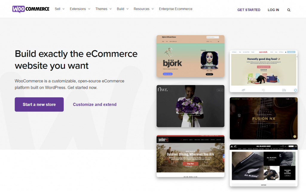 WooCommerce is the most popular eCommerce solution for WordPress to date.