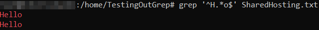A complex grep search that includes the use of special characters. The grep command lists out the lines that start and end with our specified characters.