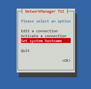 The the Set system hostname option on the NetworkManager TUI window