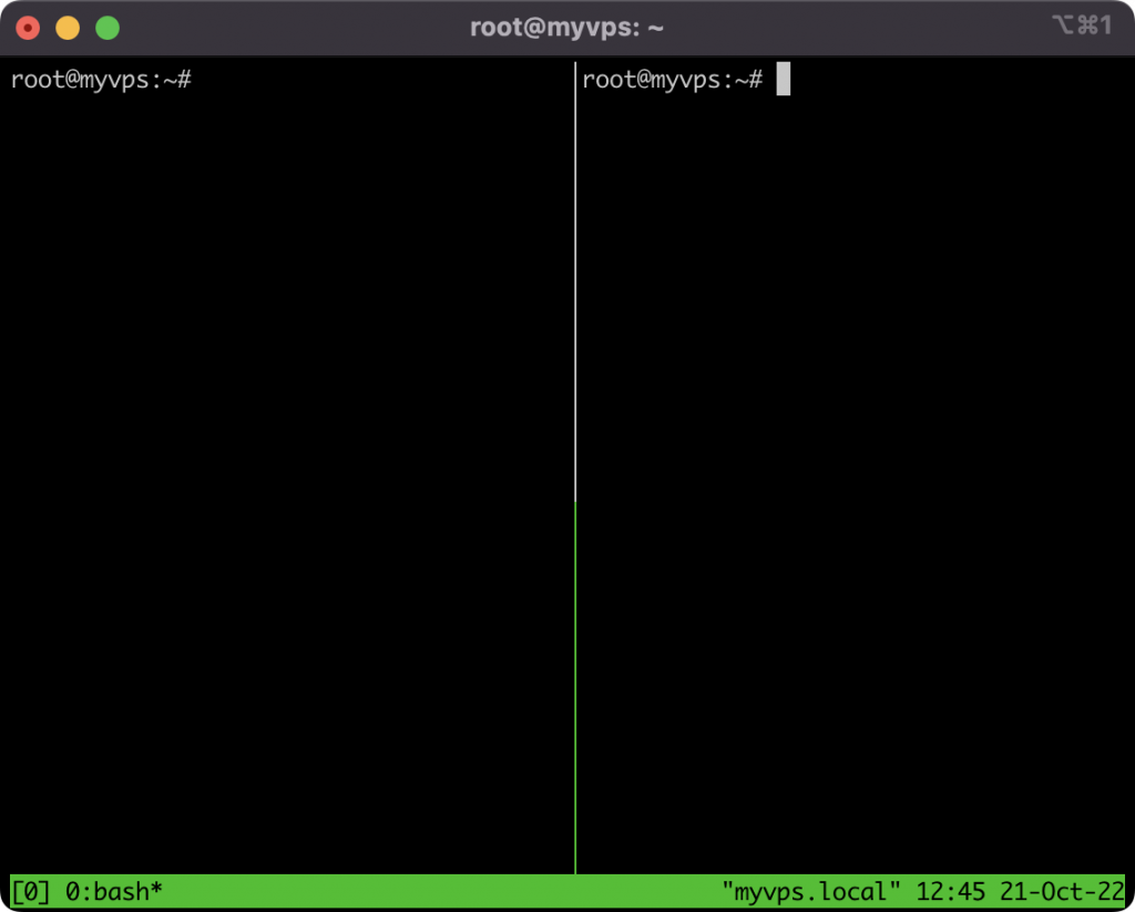 A terminal window displaying a tmux screen that is split into two instead of a single screen
