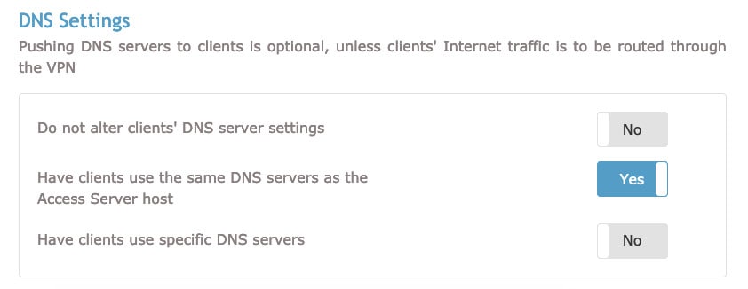 OpenVPN DNS settings section