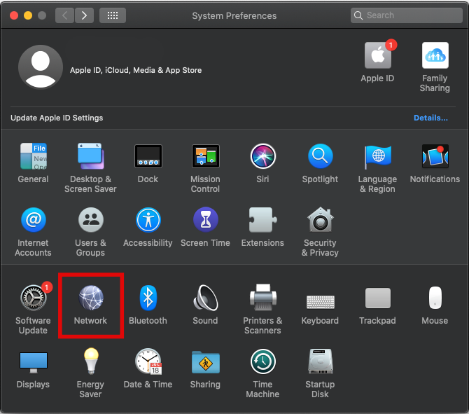 Screenshot from System Preferences showing where to find Network