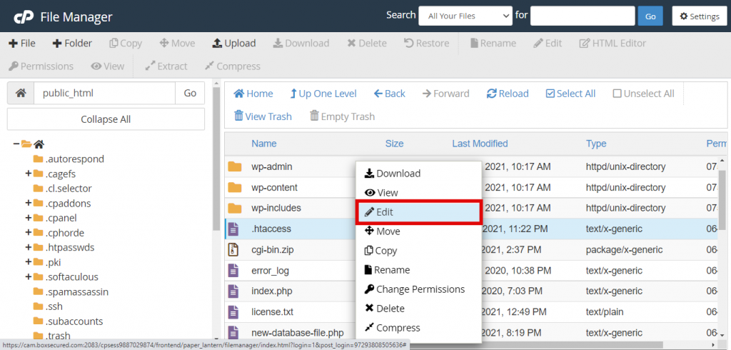 Editing the .htaccess file on cPanel