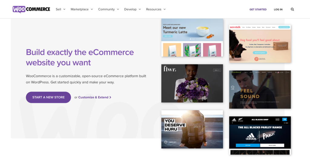 WooCommerce's homepage.