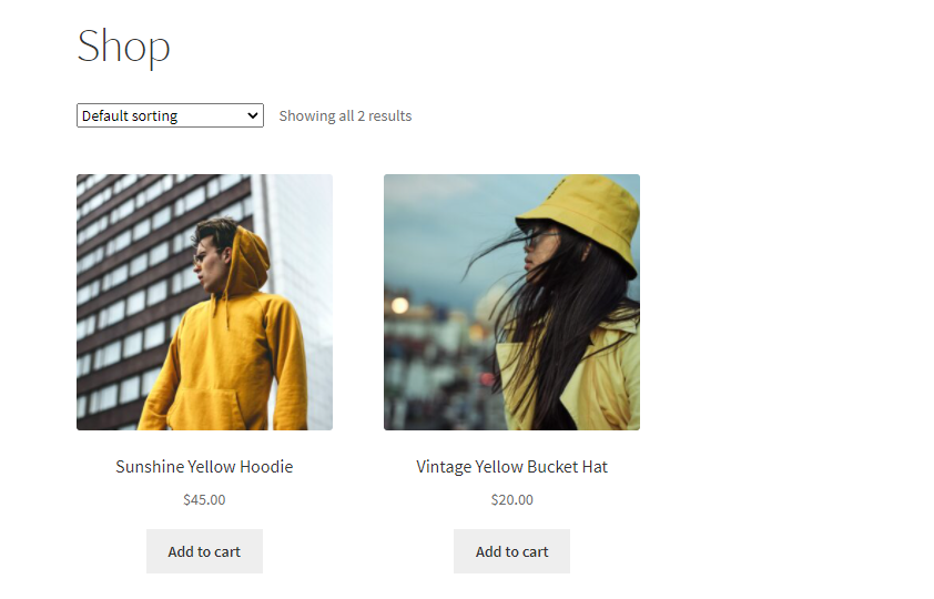 An example of WooCommerce online store