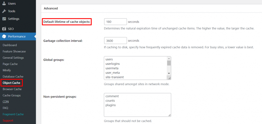 The cache lifespan setting on W3 Total Cache.