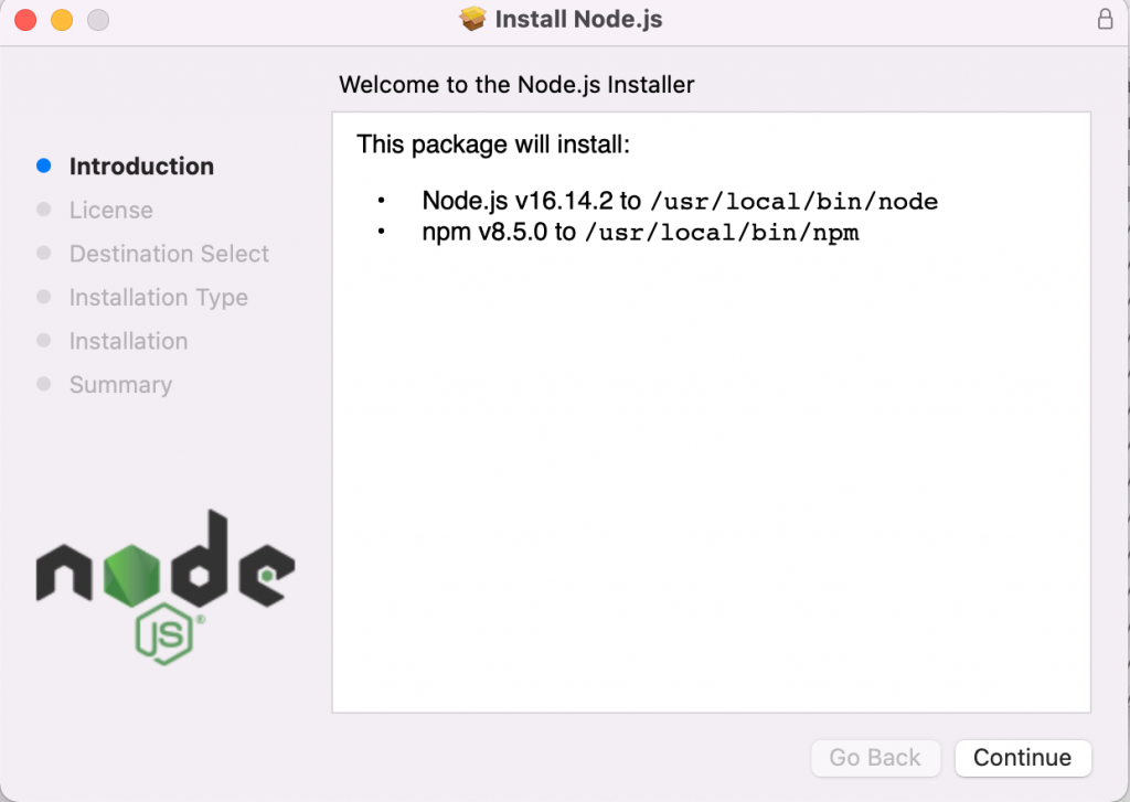 Node.js and npm package installation options