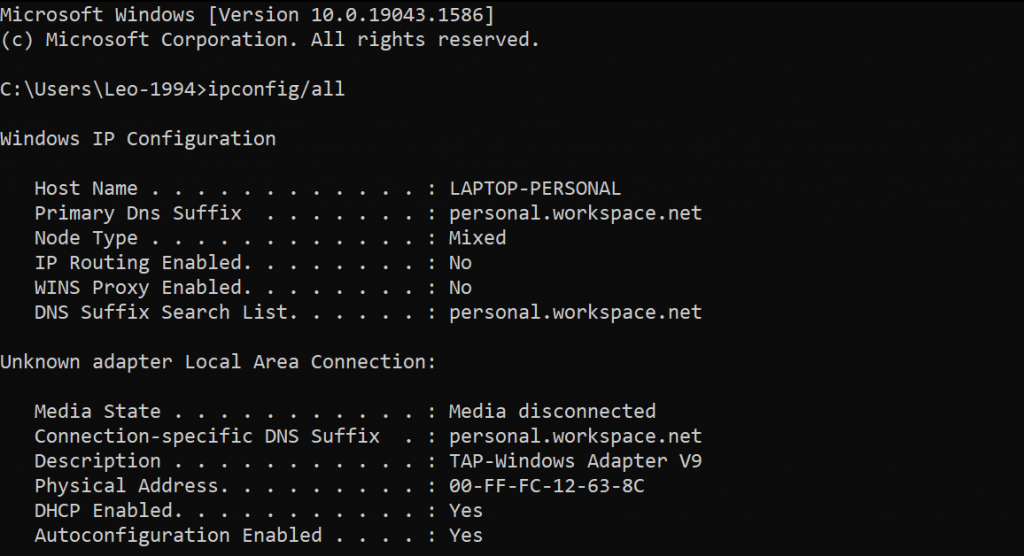 The FQDN information in Windows Terminal after entering the ipconfig :all command