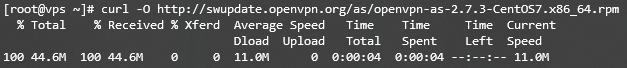 Terminal output while downloading OpenVPN package