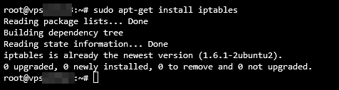 Terminal output while installing iptables