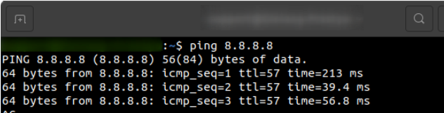 Running the ping command using Terminal on Ubuntu