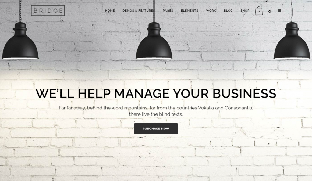 Bridge theme comes with 600+ demo websites for different business niches
