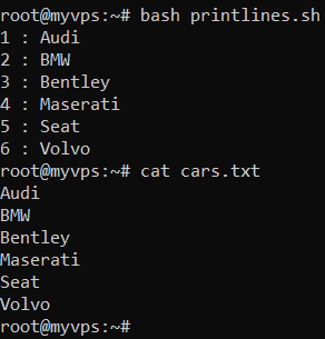 The command-line window shows a bash script that prints out file contents with a line number