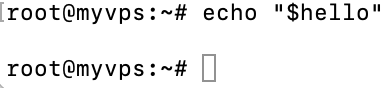 Terminal output when the export command wasn't used. In this case echo command gives out no output for the user