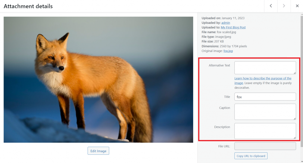 The Attachment details window highlighting the image details options