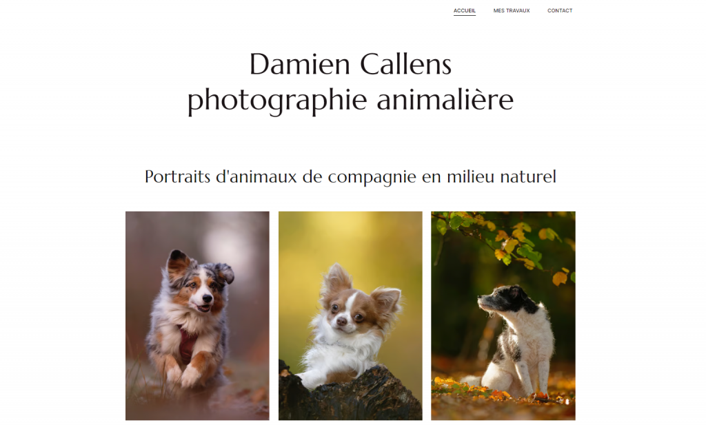 Damien Callens Photographie website homepage