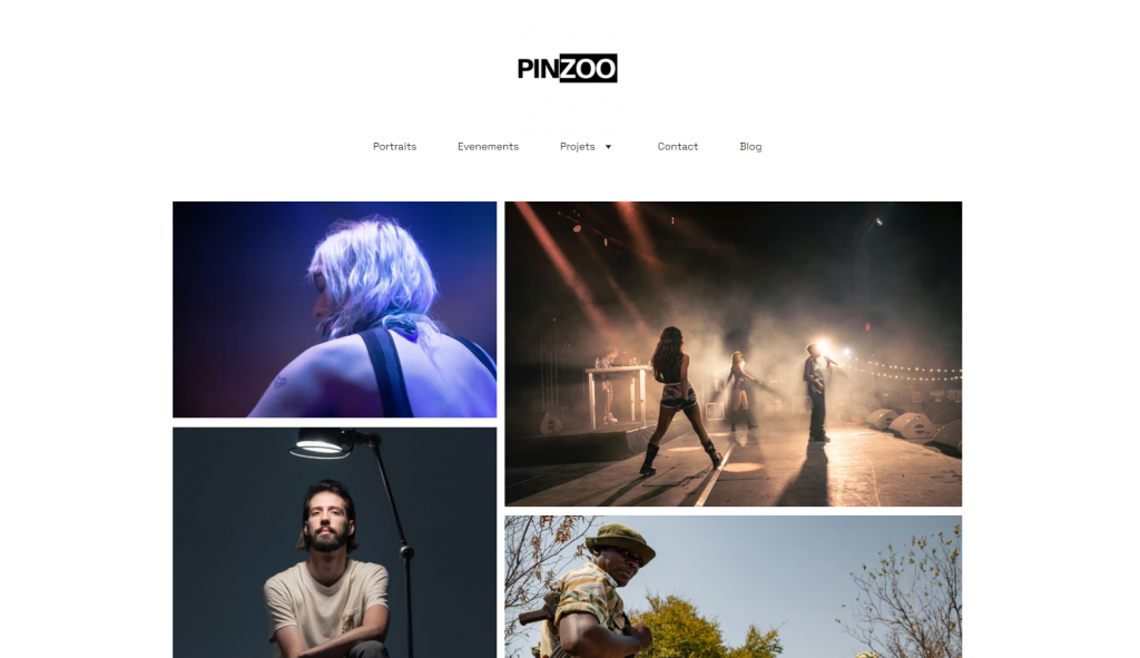 Pinzoo website homepage