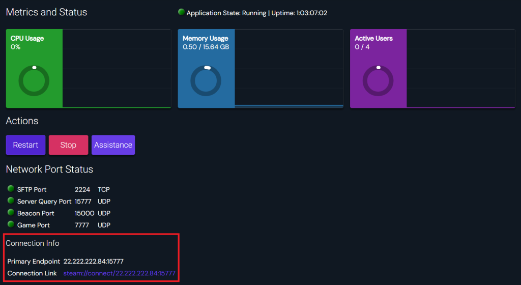 Finding the instance's connection details on the Game Panel